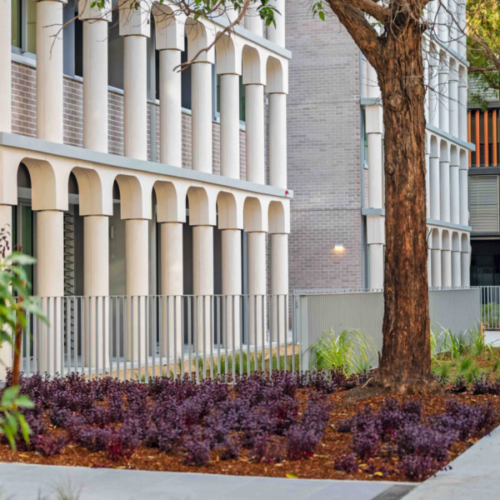 Screenshot-2025-08-19-at-1.48.00 pm-800x600